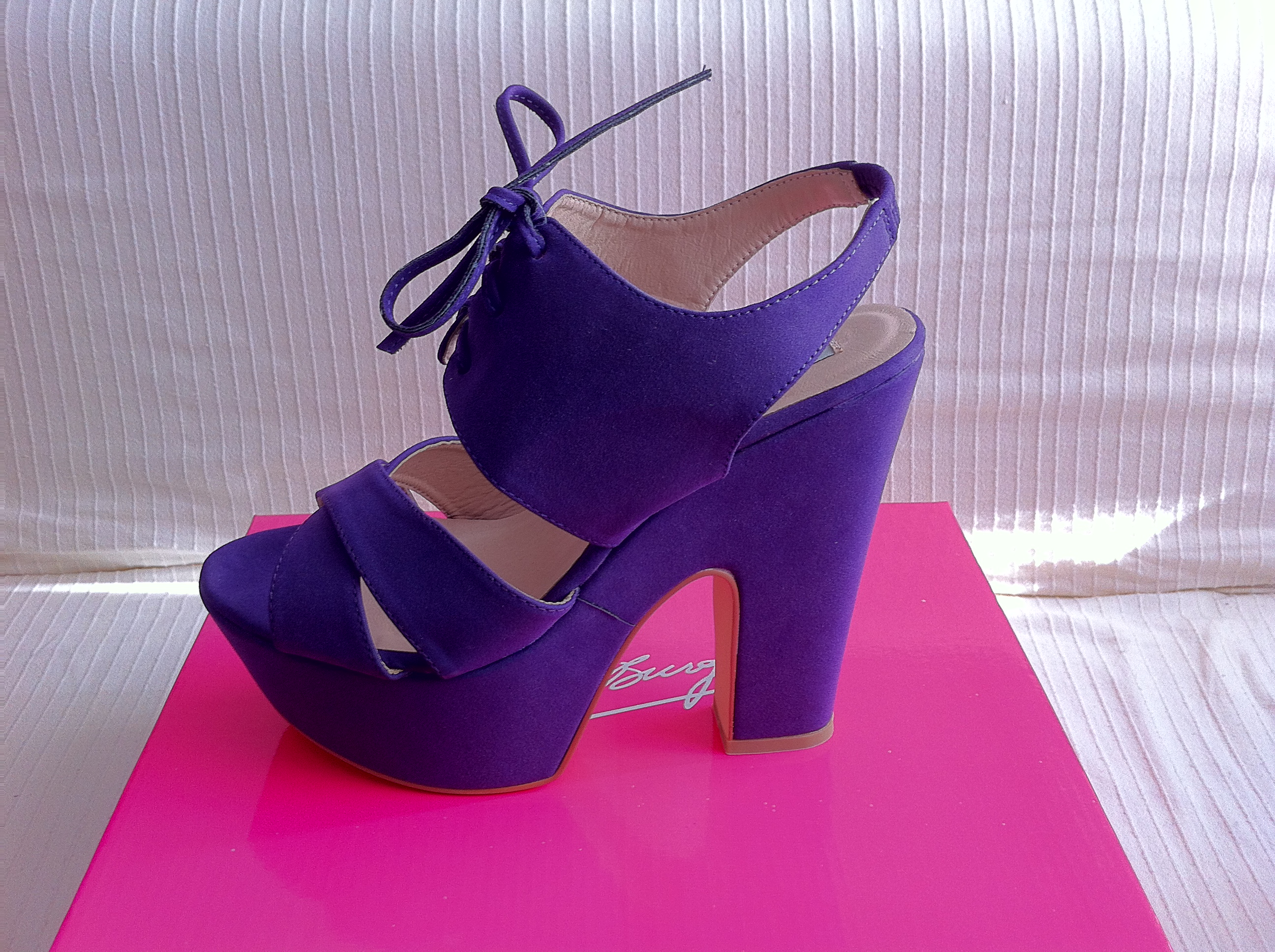 violetas de Pilar Burgos